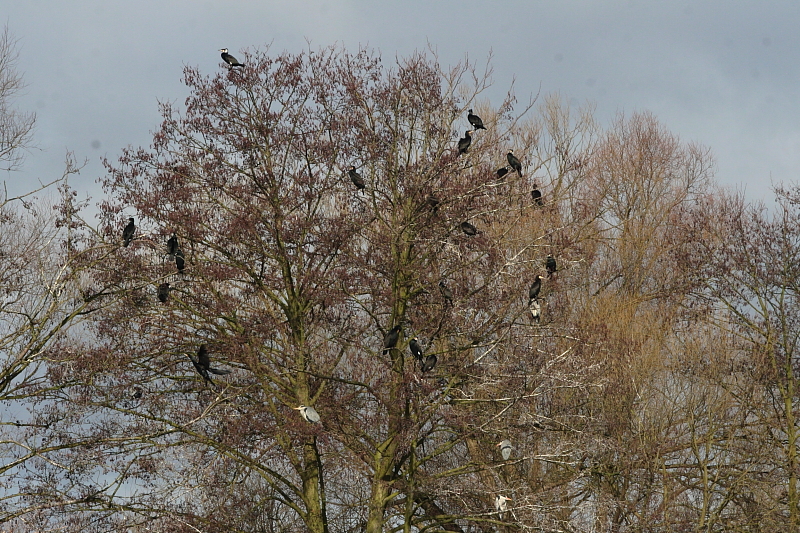 Killikus&reg; Fotographie